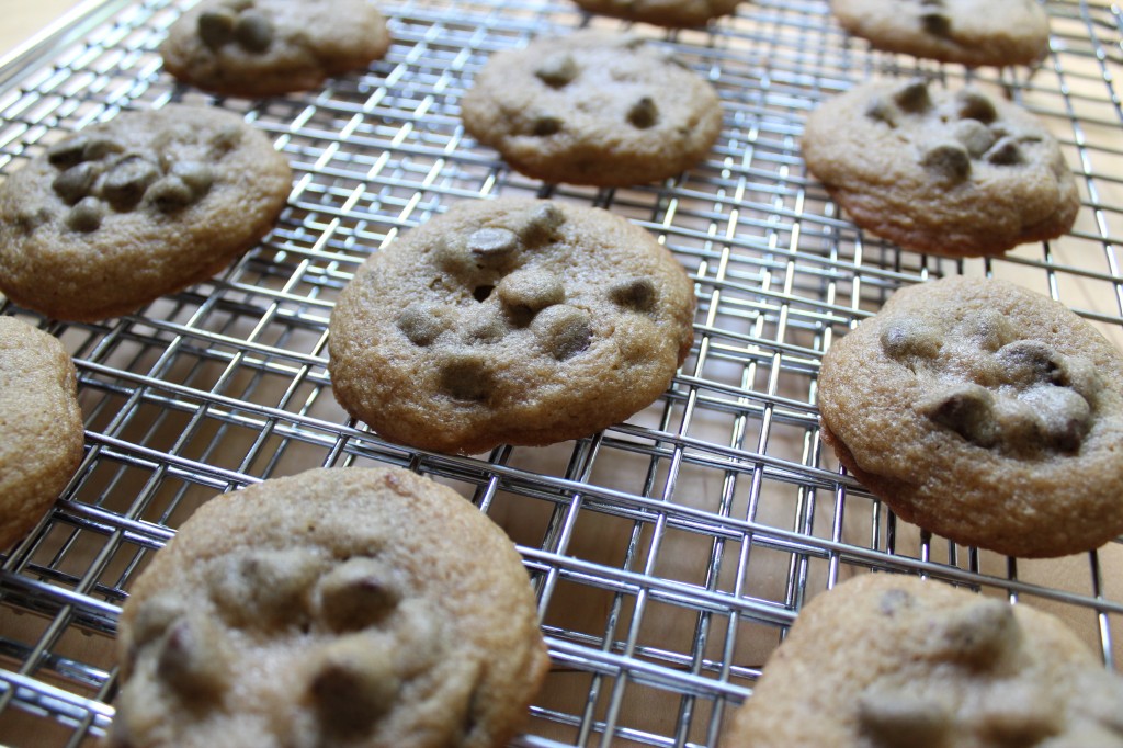 soft chocolate chip cookie5