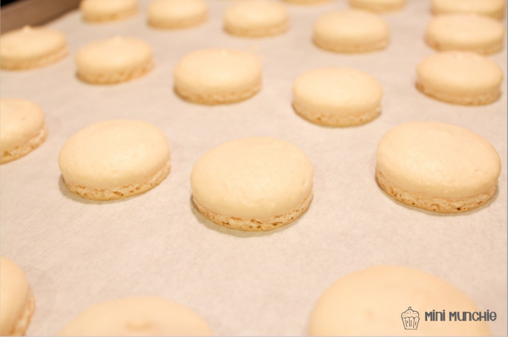 frenchmacaron12