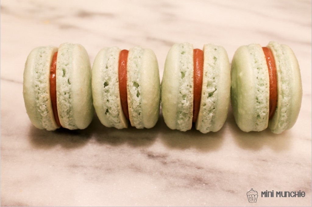 frenchmacaron16