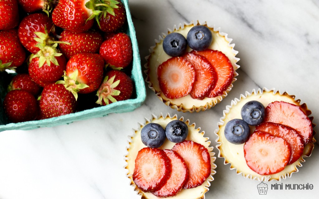 mini yogurt cheesecakes 2-5