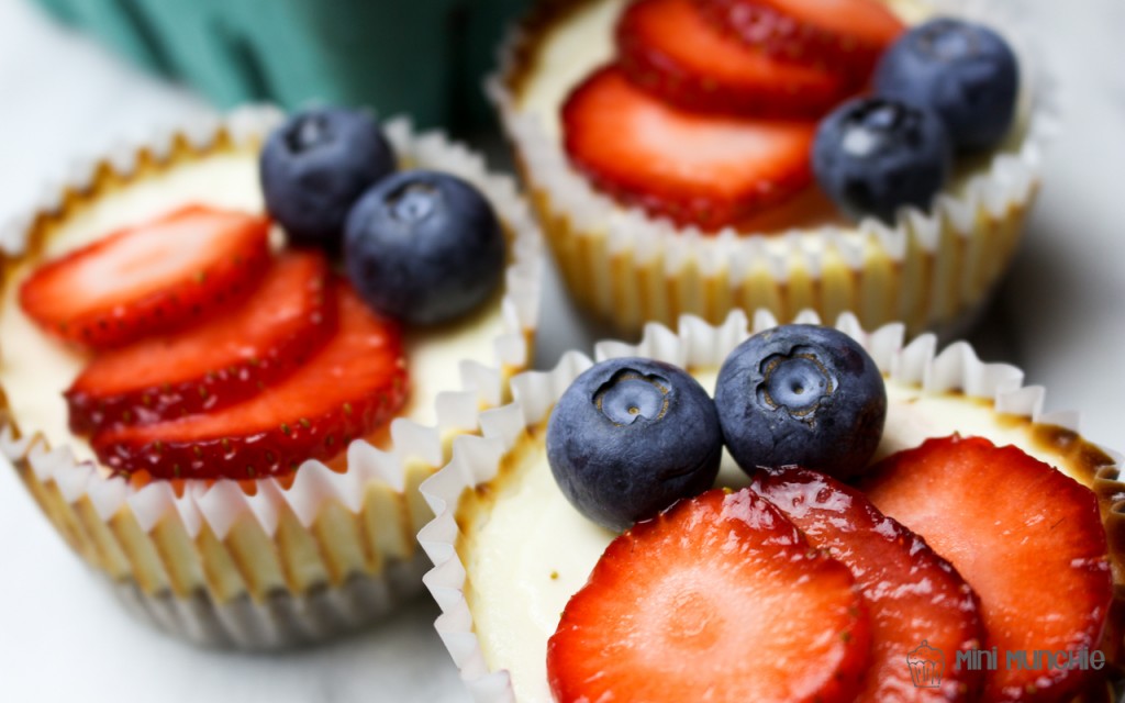 mini yogurt cheesecakes 2-6